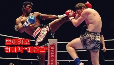 과거 수련 기록 사진