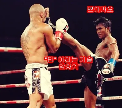 과거 수련 기록 사진