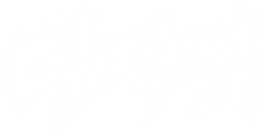 디지짐